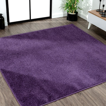 Haze Solid Low-pile Area Rug Purple